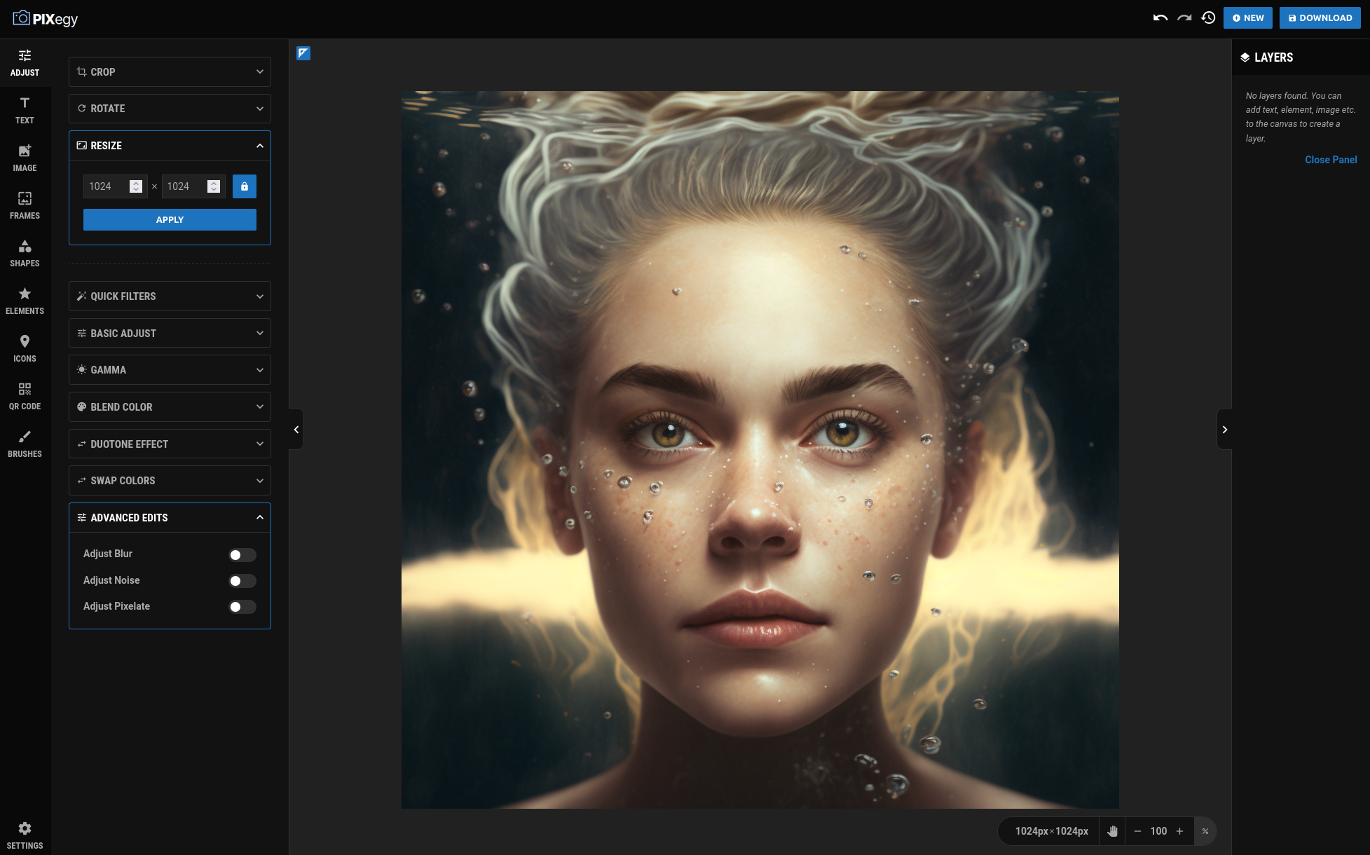 Pixegy editing controls including crop, rotate, resize, filters and advanced edits