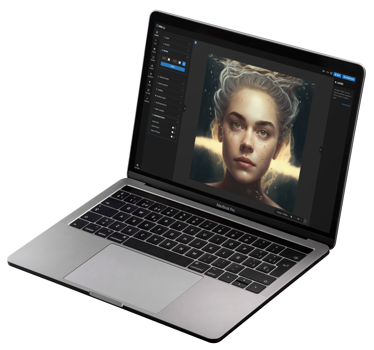 Pixegy image editor running on a laptop